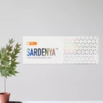 Sardenya Fine/Deep/Shape/Implant with lidocaine filler